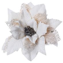 POINSETIA KLIP BL.KRÉM 10cm - FLORASYSTEM