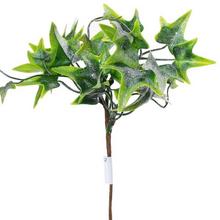 ZÁPICH ZELEŇ OSNEŽ. 25CM - FLORASYSTEM