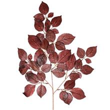 LIST FICUS ČERVENÝ 56CM - FLORASYSTEM