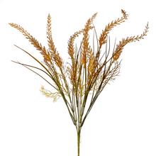 ZÁPICH TRÁVA HNEDÁ 50CM - FLORASYSTEM