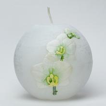 AKCIA! ORCHID. GUĽA 100 BIELA-OLIVA - FLORASYSTEM