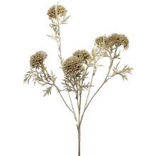 KONÁR CHAMP. 50CM - FLORASYSTEM