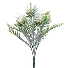 ZÁPICH TILANDSIA BIELA 32CM - FLORASYSTEM