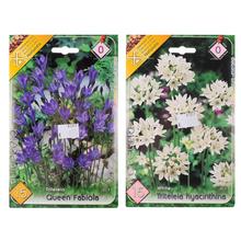 Semená cibulovín Triteleia, balenie s modrými a bielymi kvetmi.