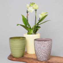 Obal orchidea - keramika a iný materiál | FLORASYSTEM