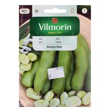 Semená BôB BIELY WINDSOR 40g