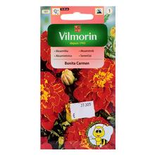 AKSAMIETNICA ROZLOŽITÁ BONITA CARMEN 1g - FLORASYSTEM