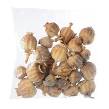 MAKOVICE hlávka 200g - FLORASYSTEM