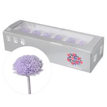 Chryzantéma preparovaná soft lilac v balení.