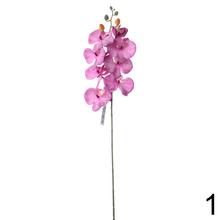 Orchidea 2F 73cm - Foto1