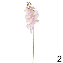 Orchidea 2F 73cm - Foto2