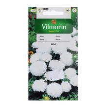 Semená astrovky čínskej trpaslíka Albit 0,5g.