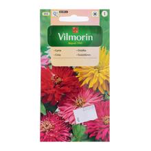 Semená cínie kaktusovitej mix 1g.