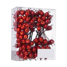 ZVAZOK JABLKÁ 12KS ČER. S/12 - FLORASYSTEM