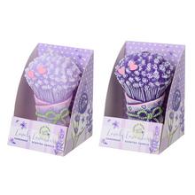 FIGURKA LEVAND.LOVELY 110mm BOX - FLORASYSTEM