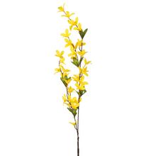 KS ZLATÝ DÁŽĎ 87CM - FLORASYSTEM