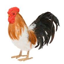 KOHÚT SLAMA/PERIE  21x8x21CM NATUR - FLORASYSTEM