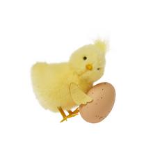 KURIATKO S NATUR.VAJÍČKOM SEDIACE 10CM - FLORASYSTEM