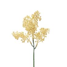 ZÁPICH ZELEŇ GULIČKY BÉŽOVÁ 22CM - FLORASYSTEM