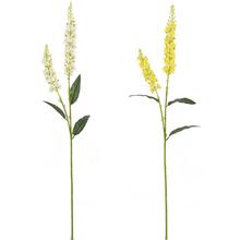 KS DELPHINIUM 73CM MIX/2F - FLORASYSTEM