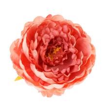 HLAVA PIVÓNIA LOSOSOVÁ 8*14CM BAL:12KS - FLORASYSTEM