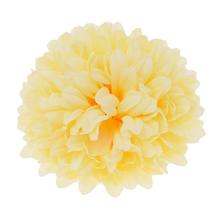 HLAVA CHRYZANTÉMA 10 CM BAL.12KS BLEDO-ŽLTÁ - FLORASYSTEM