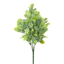 ZELEŇ LÍSTKY ZELENÉ 27CM - FLORASYSTEM