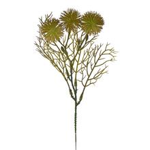ZÁPICH BODLIAK ZELENÝ 24CM - FLORASYSTEM
