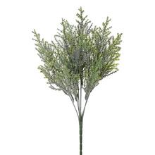 ZELEŇ TUJA SIVO-ZELENÁ 32CM - FLORASYSTEM