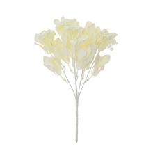 ZELEŇ DROB. LÍSTKY KRÉMOVÁ 28CM - FLORASYSTEM