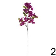 Konár Bungevila mix s červenými a fialovými kvetmi.