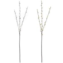 KS BAHNIATKA x3 MIX/2F 84CM - FLORASYSTEM