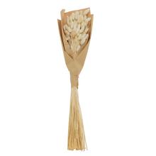 LAGURUS SUŠINA BIELA - FLORASYSTEM