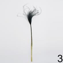 Stypha - pierko MIX farba, 50 cm dlhé, rôzne farby.