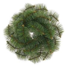 VENIEC BOROVICA 20/vonk.pr.50CM - FLORASYSTEM