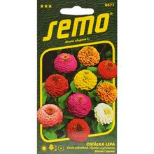 CÍNIA DOUBLE LILIPUT 0,7g  - FLORASYSTEM