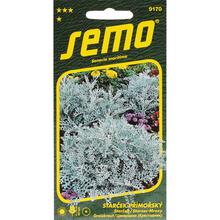 Semená starček Silverdust 0,3g