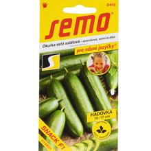 Semená uhorky šalátovej Snack F1 v balení 10 kusov.