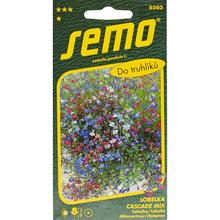 LOBELKA CASCADE ZMES 0,25g - FLORASYSTEM