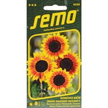 SLNEČNICA ROČNÁ ORANGE MAHOGANY BICOLOUR F1 2g - FLORASYSTEM