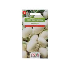 Semená cibule lahôdkovej Pompej 1,5g