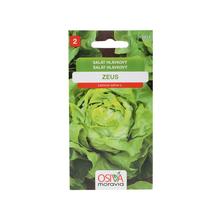 Semená letného šalátu Zeus 0,5g
