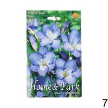 Zmes cibuľovín Freesia v rôznych farbách.