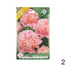 Zmes pivoniek v balení.