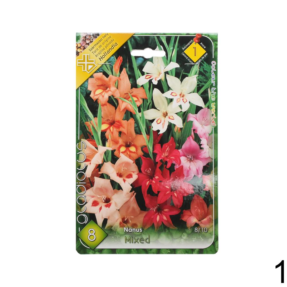 Zmes cibuľovín gladiolov v rôznych farbách.