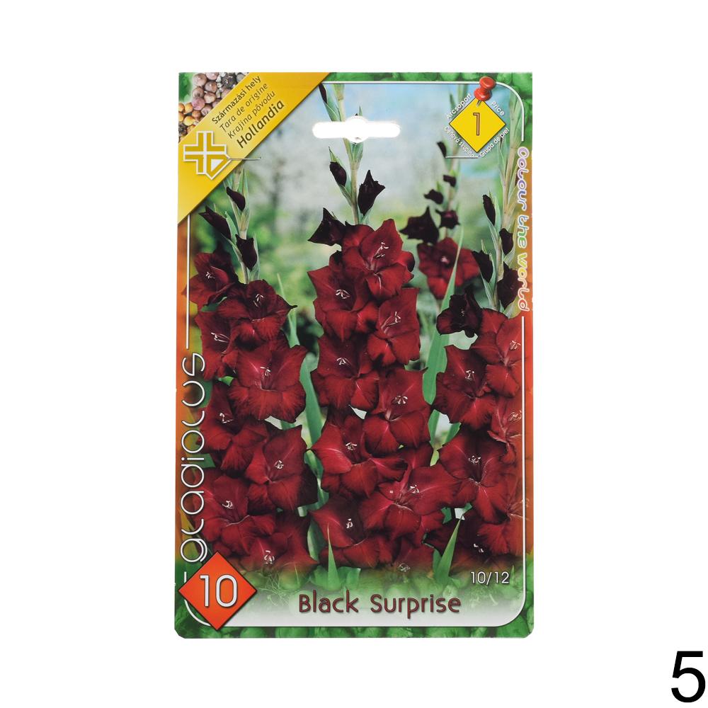 Zmes cibuľovín gladiolov v rôznych farbách.