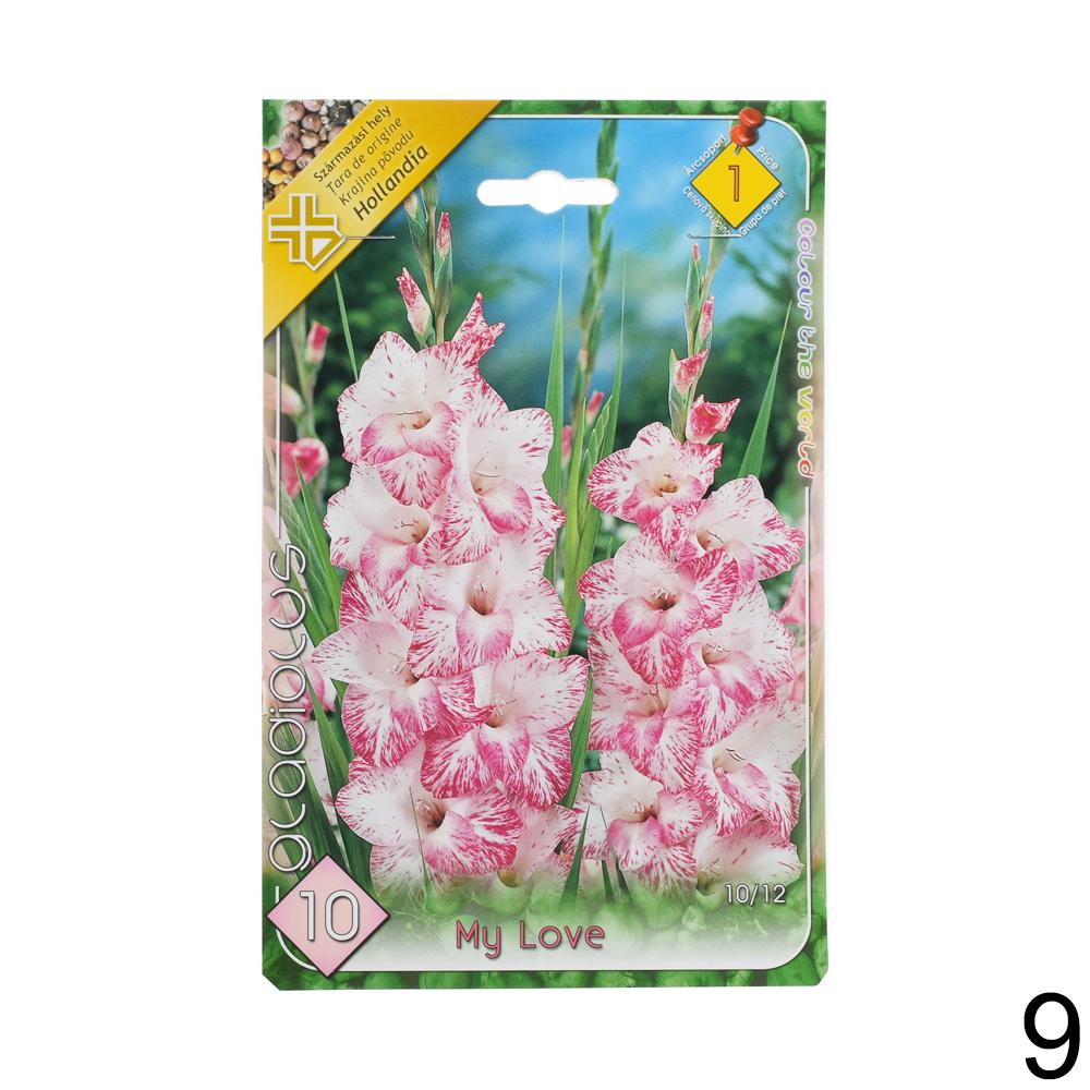 Zmes cibuľovín gladiolov v rôznych farbách.