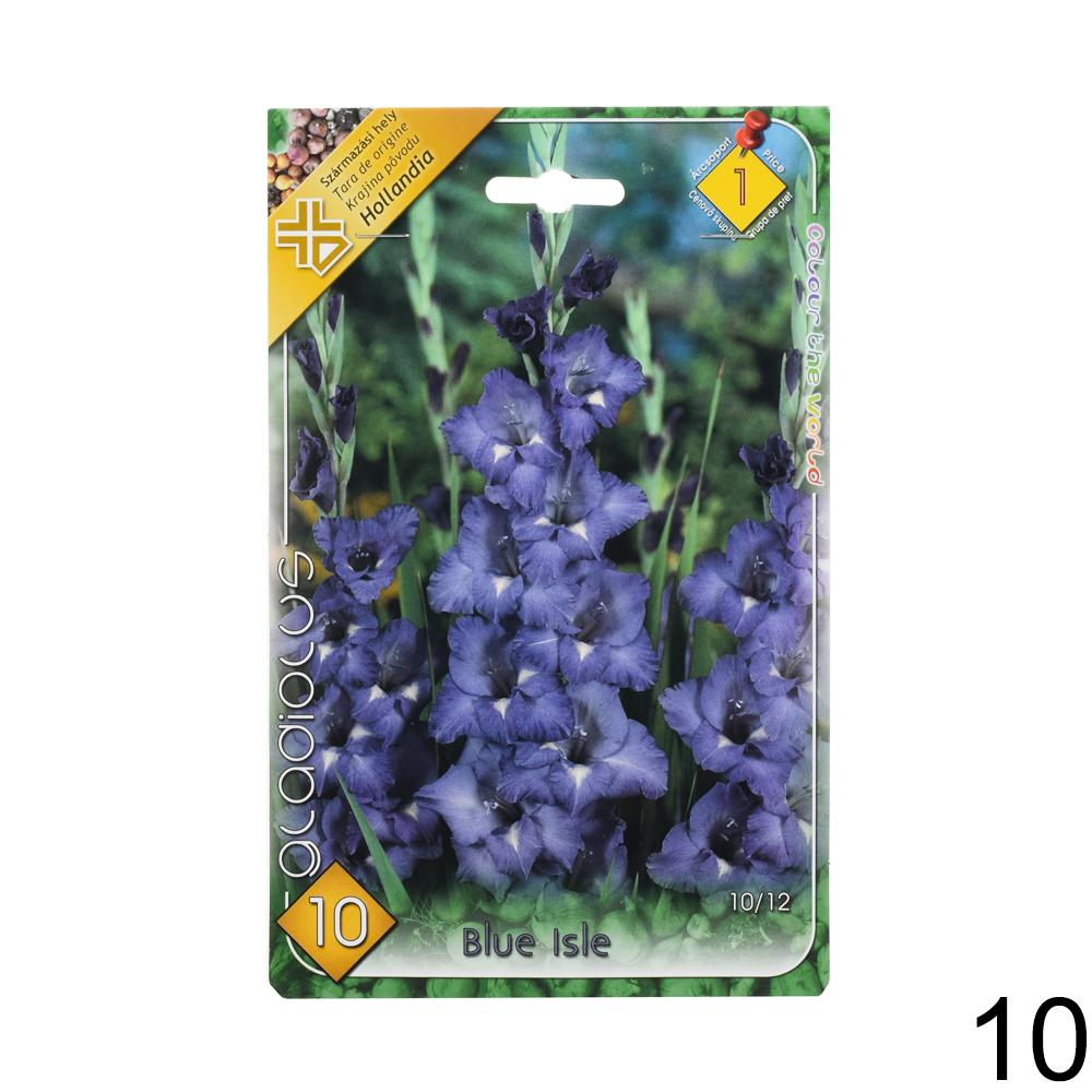 Zmes cibuľovín gladiolov v rôznych farbách.