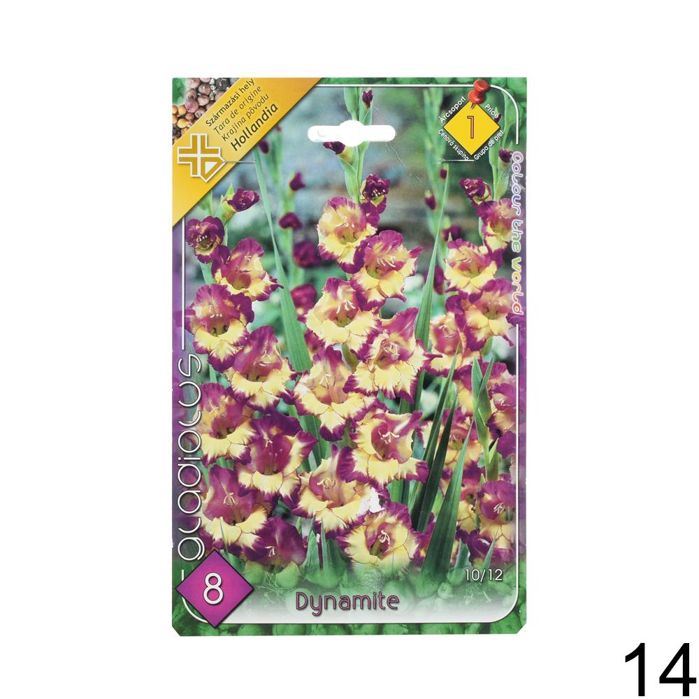 Zmes cibuľovín gladiolov v rôznych farbách.