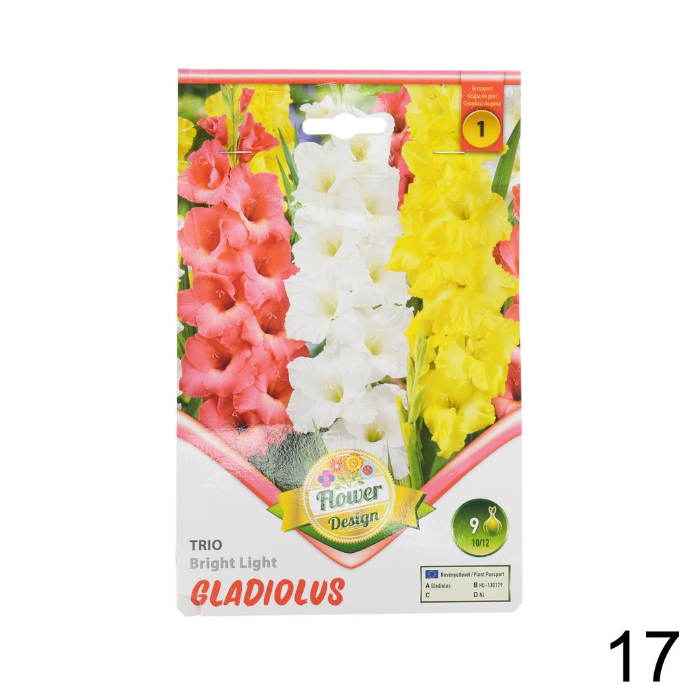 Zmes cibuľovín gladiolov v rôznych farbách.